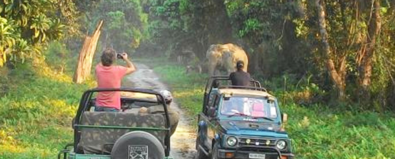 Kaziranga Safri Tour